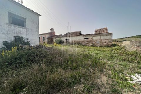 Farm i Matacaes, Lisbon, Matacaes - € 340.000 | Ref: HB0267 - foto 13