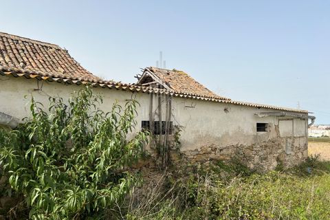Farm i Matacaes, Lisbon, Matacaes - € 340.000 | Ref: HB0267 - foto 50