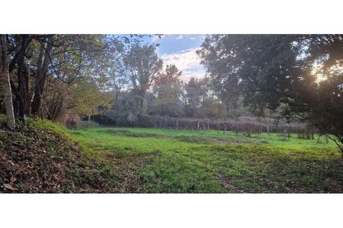 Tomt i Azere, Viana do Castelo, Azere - € 7 500 | Ref: 1040-129 - foto 5