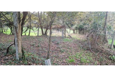 Tomt i Azere, Viana do Castelo, Azere - € 7 500 | Ref: 1040-129 - foto 6