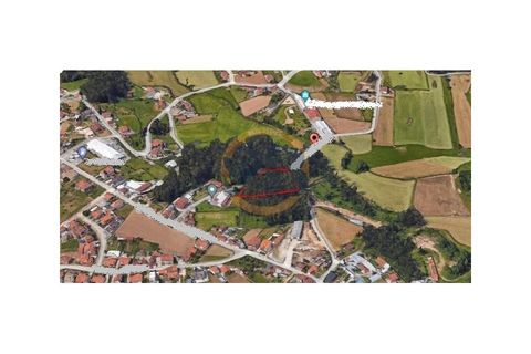 Helårsgrund i Ovar, Aveiro, Ovar - € 75.000 | Ref: T/0800 - foto 3