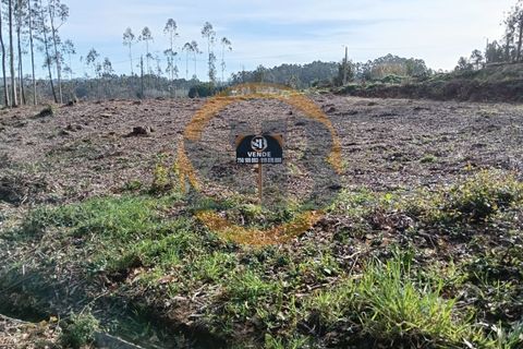 Helårsgrund i Ovar, Aveiro, Ovar - € 75.000 | Ref: T/0800 - foto 1