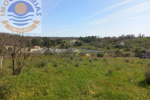 Helårsgrund i Ourem, Santarem, Ourem - € 35.000 | Ref: 2023071 - foto 4