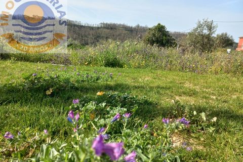 Helårsgrund i Ourem, Santarem, Ourem - € 40.000 | Ref: 2023070 - foto 2