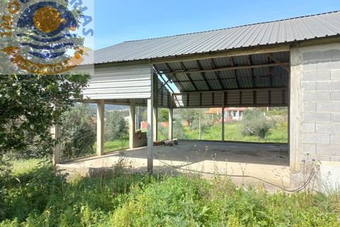 Helårsgrund i Ourem, Santarem, Ourem - € 40.000 | Ref: 2023070 - foto 7
