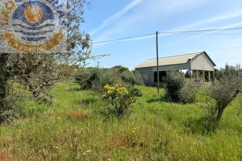 Helårsgrund i Ourem, Santarem, Ourem - € 40.000 | Ref: 2023070 - foto 9