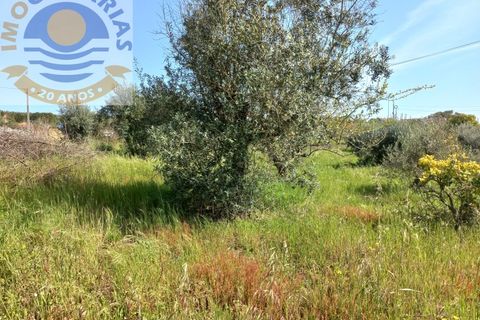 Helårsgrund i Ourem, Santarem, Ourem - € 40.000 | Ref: 2023070 - foto 10
