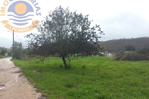 Helårsgrund i Ourem, Santarem, Ourem - € 14.900 | Ref: 2022050 - foto 4