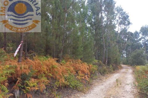 Helårsgrund i Ourem, Santarem, Ourem - € 9.000 | Ref: 2022047 - foto 2