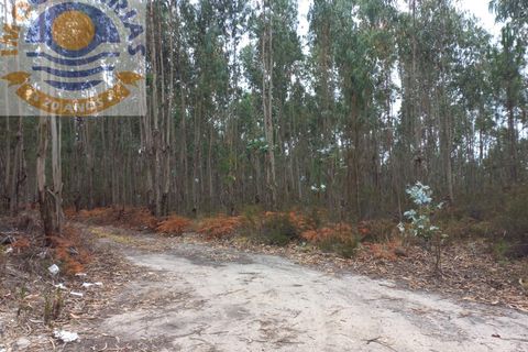 Helårsgrund i Ourem, Santarem, Ourem - € 9.000 | Ref: 2022047 - foto 3