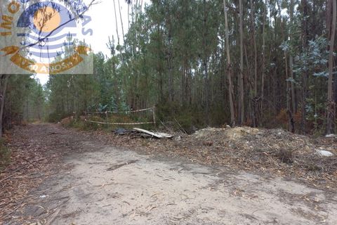Helårsgrund i Ourem, Santarem, Ourem - € 9.000 | Ref: 2022047 - foto 4