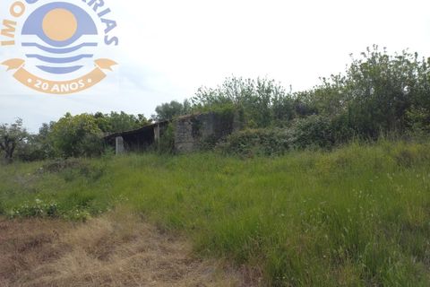 Terra a Gondemaria e Olival, Santarem, Gondemaria e Olival - € 15.000 | Ref: 2022031 - foto 2