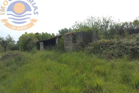 Terra a Gondemaria e Olival, Santarem, Gondemaria e Olival - € 15.000 | Ref: 2022031 - foto 3
