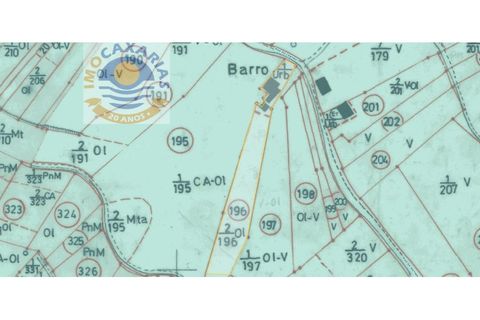 Terra a Gondemaria e Olival, Santarem, Gondemaria e Olival - € 15.000 | Ref: 2022031 - foto 6
