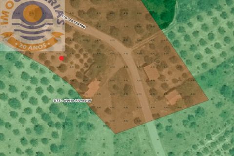 Terra a Gondemaria e Olival, Santarem, Gondemaria e Olival - € 15.000 | Ref: 2022031 - foto 7