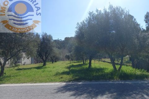 Helårsgrund i Ourem, Santarem, Ourem - € 20.000 | Ref: 2022015 - foto 2
