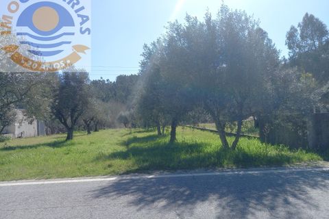 Helårsgrund i Ourem, Santarem, Ourem - € 20.000 | Ref: 2022015 - foto 3