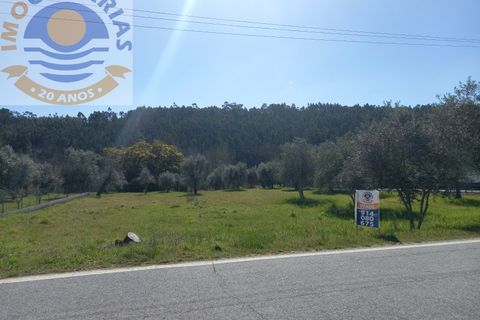 Helårsgrund i Ourem, Santarem, Ourem - € 40.000 | Ref: 2022014 - foto 2