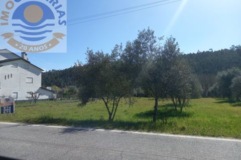 Helårsgrund i Ourem, Santarem, Ourem - € 40.000 | Ref: 2022014 - foto 5