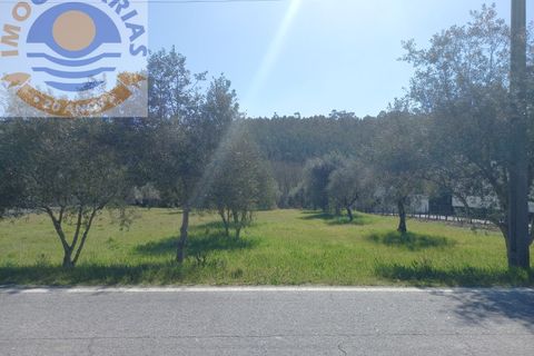 Helårsgrund i Ourem, Santarem, Ourem - € 40.000 | Ref: 2022014 - foto 6