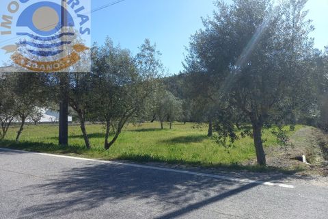 Helårsgrund i Ourem, Santarem, Ourem - € 40.000 | Ref: 2022014 - foto 8