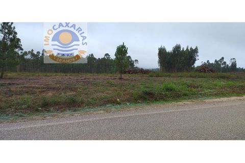 Helårsgrund i Ourem, Santarem, Ourem - € 550.000 | Ref: 2020051 - foto 3