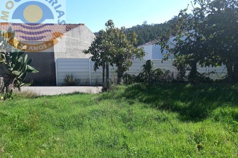 Helårsgrund i Ourem, Santarem, Ourem - € 18.000 | Ref: 2021062 - foto 3