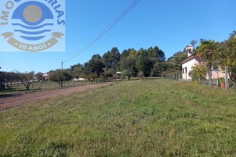 Helårsgrund i Ourem, Santarem, Ourem - € 18.000 | Ref: 2021062 - foto 4