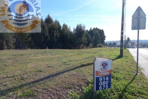 Helårsgrund i Ourem, Santarem, Ourem - € 115.000 | Ref: 2021021 - foto 5