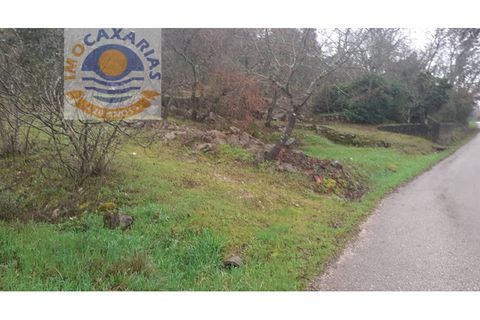 Terra a Freixianda, Santarem, Freixianda - € 28.000 | Ref: 2021006 - foto 2