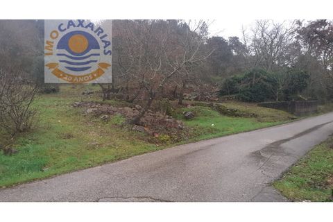 Terra a Freixianda, Santarem, Freixianda - € 28.000 | Ref: 2021006 - foto 3