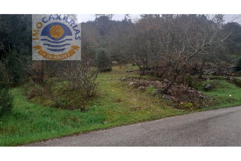 Terra a Freixianda, Santarem, Freixianda - € 28.000 | Ref: 2021006 - foto 4