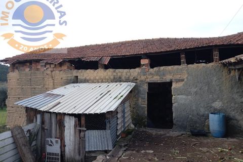 Farm i Ourem, Santarem, Ourem - € 90.000 | Ref: 2021012 - foto 6