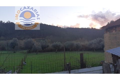 Farm i Ourem, Santarem, Ourem - € 90.000 | Ref: 2021012 - foto 11