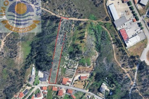 Helårsgrund i Ourem, Santarem, Ourem - € 20.000 | Ref: 300611A - foto 2