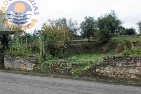 Helårsgrund i Ourem, Santarem, Ourem - € 25.000 | Ref: 300582 A - foto 3