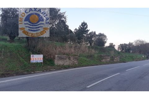 Helårsgrund i Ourem, Santarem, Ourem - € 25.000 | Ref: 300582 A - foto 4