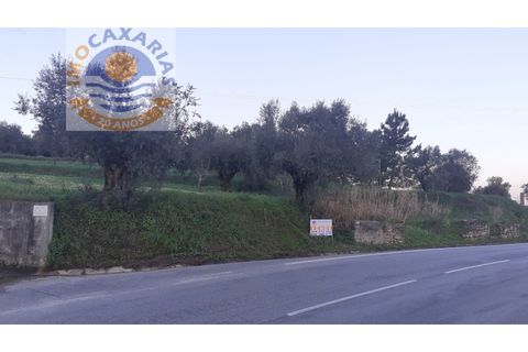 Helårsgrund i Ourem, Santarem, Ourem - € 25.000 | Ref: 300582 A - foto 5