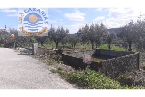Helårsgrund i Ourem, Santarem, Ourem - € 18.500 | Ref: 2017039 - foto 2