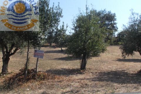 Helårsgrund i Ourem, Santarem, Ourem - € 21.000 | Ref: 2017060 - foto 2
