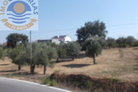 Helårsgrund i Ourem, Santarem, Ourem - € 21.000 | Ref: 2017060 - foto 3