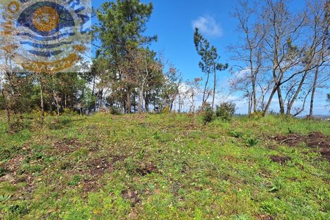 Helårsgrund i Ourem, Santarem, Ourem - € 6.000 | Ref: 2017061 - foto 2