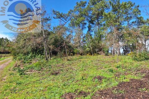 Helårsgrund i Ourem, Santarem, Ourem - € 6.000 | Ref: 2017061 - foto 3