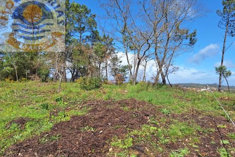 Helårsgrund i Ourem, Santarem, Ourem - € 6.000 | Ref: 2017061 - foto 4