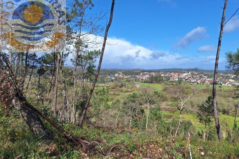 Helårsgrund i Ourem, Santarem, Ourem - € 6.000 | Ref: 2017061 - foto 5