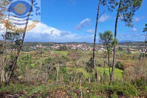 Helårsgrund i Ourem, Santarem, Ourem - € 6.000 | Ref: 2017061 - foto 6