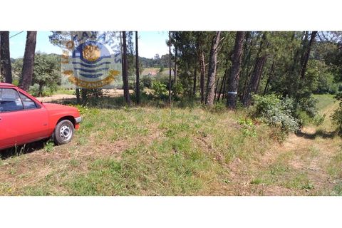 Helårsgrund i Ourem, Santarem, Ourem - € 22.500 | Ref: 2018053 - foto 3