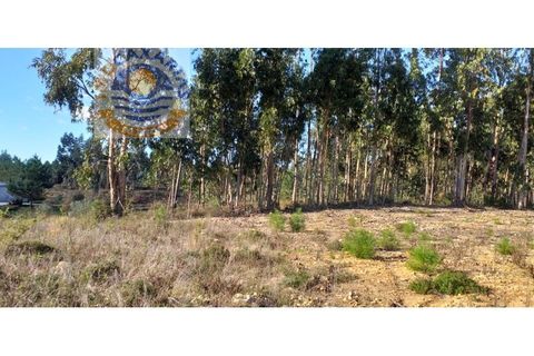 Helårsgrund i Ourem, Santarem, Ourem - € 70.000 | Ref: 2019063 - foto 2