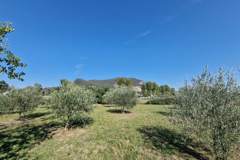 Tomt i Baone, Padua, Baone - € 88 000 | Ref: TER 248 - foto 4