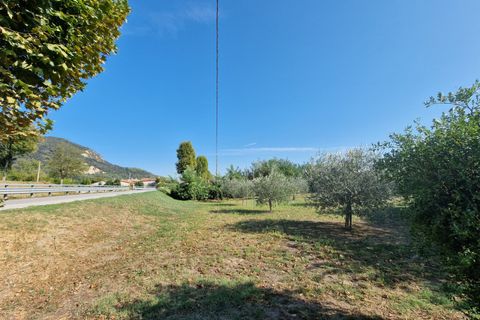 Tomt i Baone, Padua, Baone - € 88 000 | Ref: TER 248 - foto 5